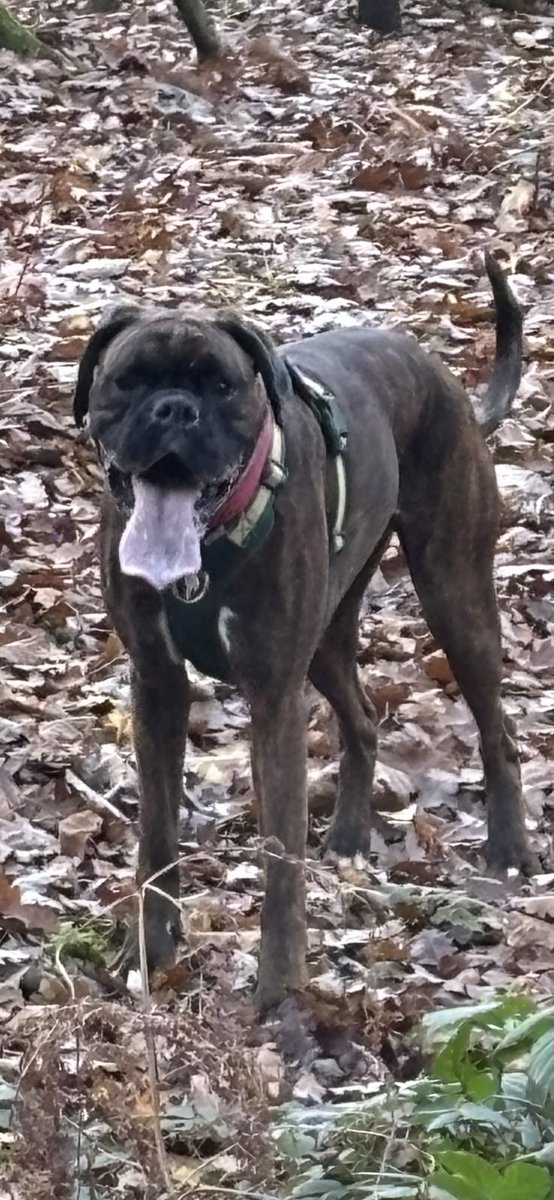 Nothing like a good run