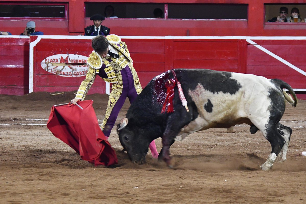 Tarde rotunda para Arturo Gilio ayer en Monterrey.
A hombros por la puerta grande junto a Él Payo y Roca Rey.

Dos orejas le cortó a su segundo del festejo. En una notable faena con mucha solidez.

Los toros fueron de la Ganadería de El Junco.