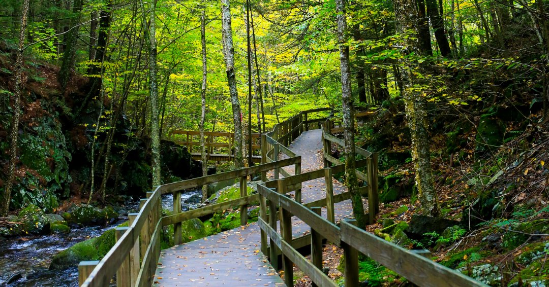 RocheRealty's tweet image. 🌟 Community Spotlight: Moultonborough, NH
Low taxes, top schools, beautiful lakes, scenic shoreline, and amazing recreation. Learn more: bit.ly/Moultonboro-NH
#MoultonboroughNH #CommunitySpotlight #NHRealEstate #LakesRegionNH