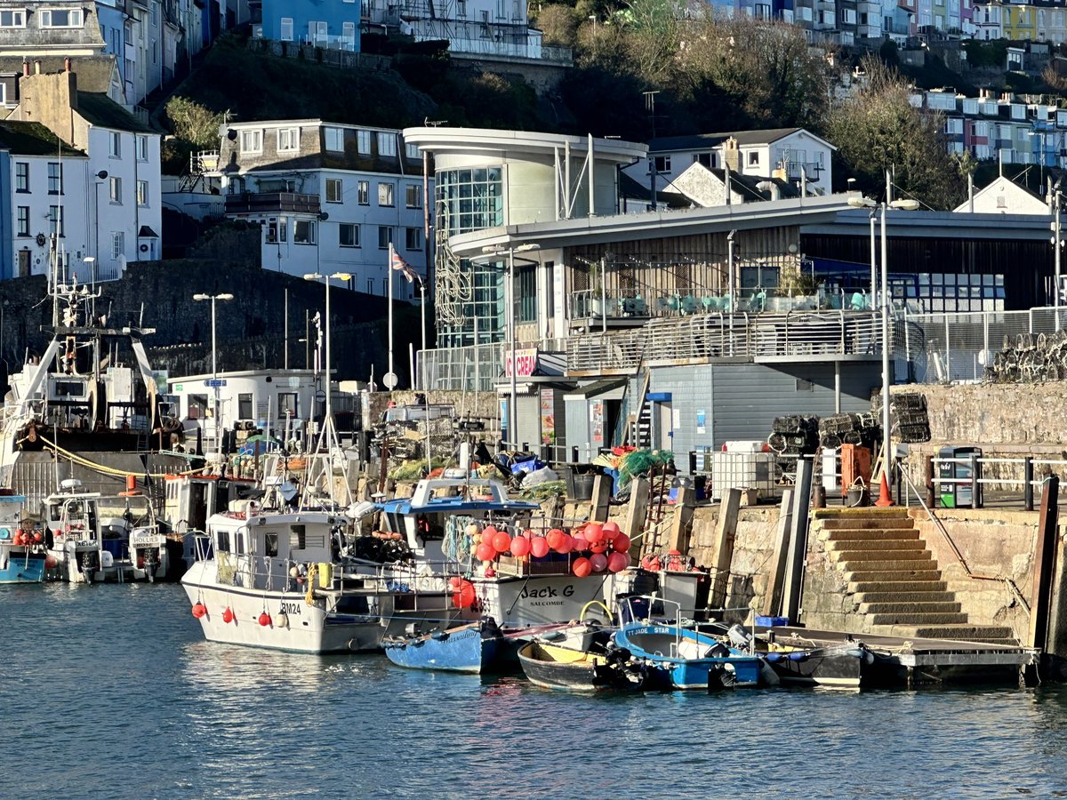 Brixham's tweet image. #picoftheday Don’t you just love Brixham! Possibly my next artwork! 🤔🤔