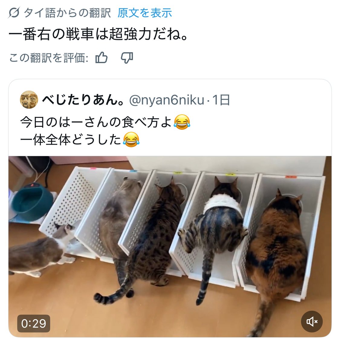 べじたりあん。 (@nyan6niku) / Posts / X