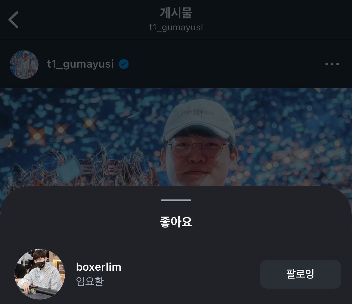 요거! tweet media