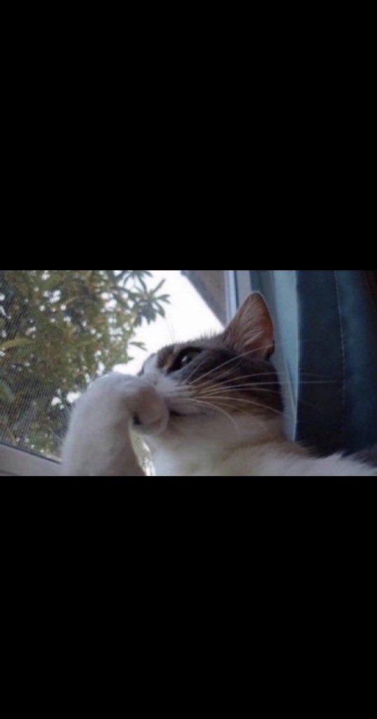 لما تصير توفر سوالفك لبكرة لان تحس انك زودتها اليوم