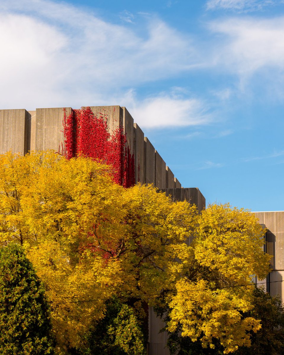 Fall on campus feels like a chapter you don’t want to end. 🍂📚

📸 Jason Smith