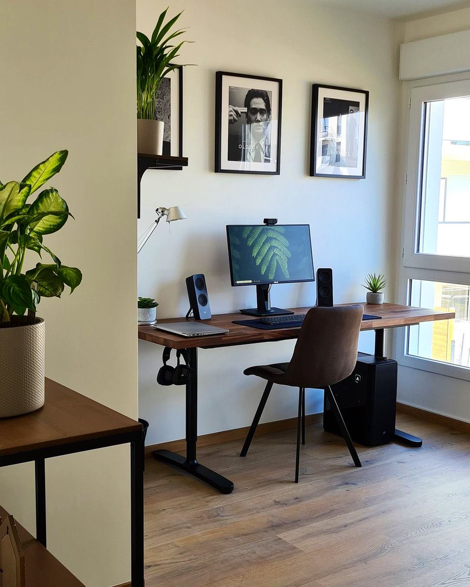 pandasetups's tweet image. 