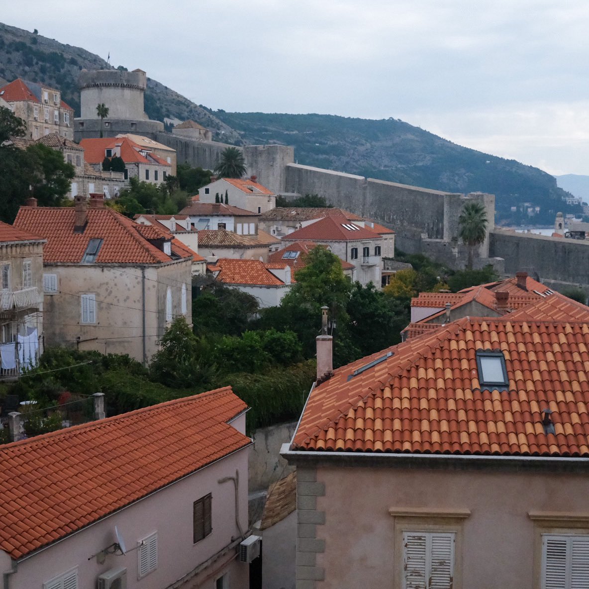 Carlacia Grant tweet media