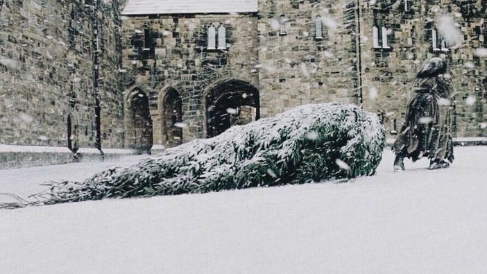 ArtCelineLove's tweet image. winter at hogwarts