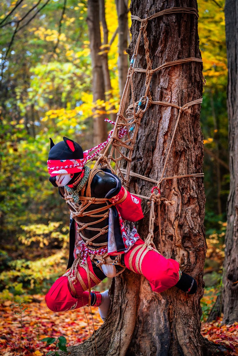 out on the woods 

📸 &amp; 🪢 <a href="/PupHachi_2021/">小八Pup Hachi</a> [20251024]