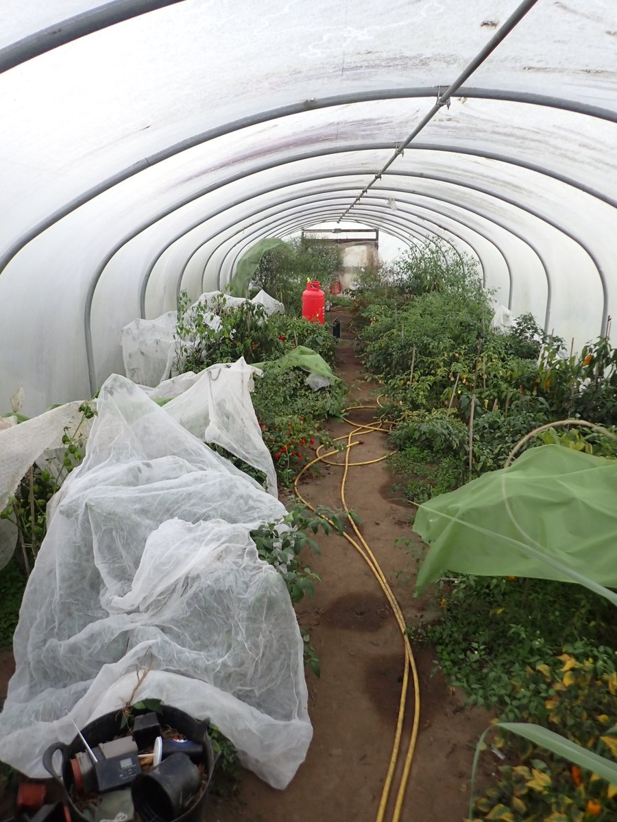 Chris Fowler tweet media