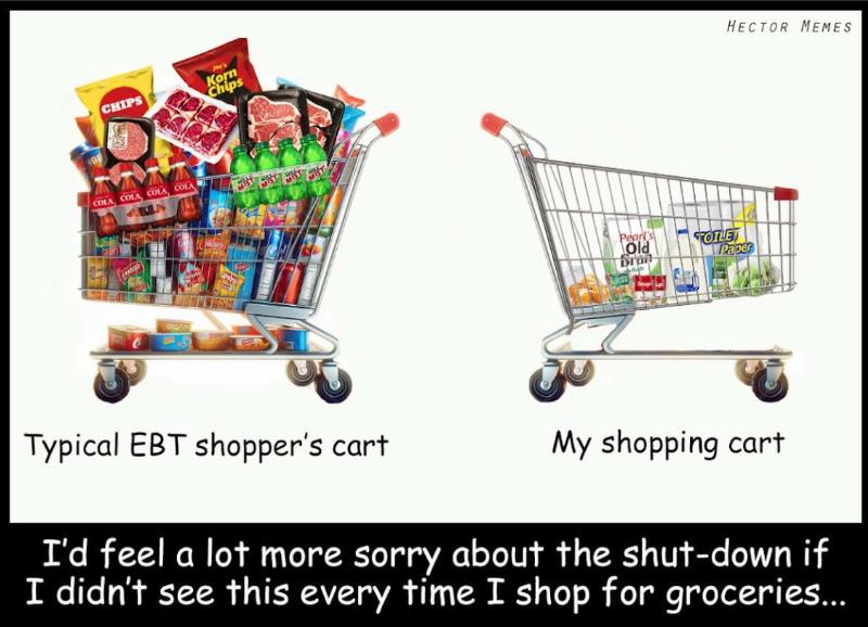 DuanesWorld813's tweet image. #EBT #Illegals #SNAPFraud