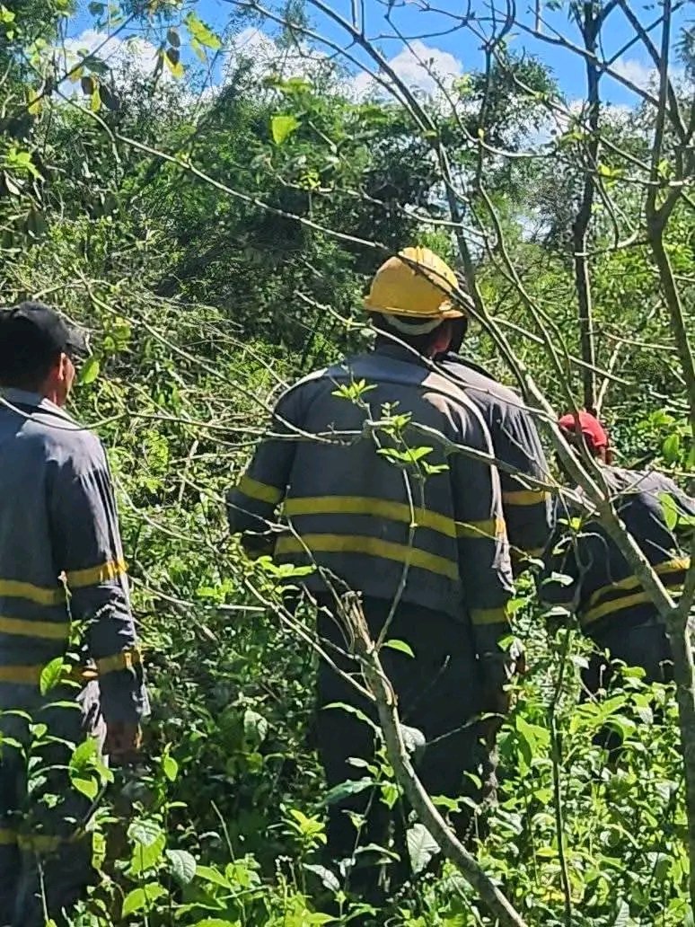 #ProvinciaGranma | La activación del circuito Cerámica Roja de #Bayamo llega a uno de sus tramos finales hasta los parajes de la serranía granmense, para esto, una tropa de  trabajadores eléctricos desafían los escollos del camino y la adversidad de la maleza.
