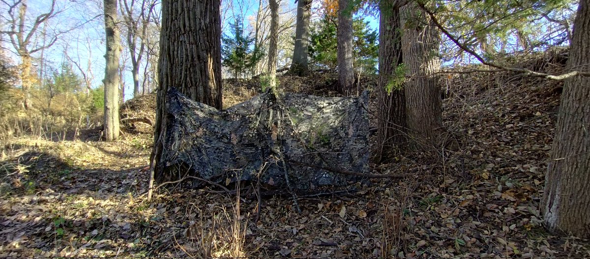 SpazZRatic ✈️🌸🐉 tweet media