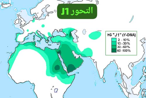 أبو ريان tweet media