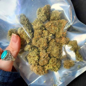 SPACECANNABIS's tweet photo. primeiro isso / depois isso https://t.co/NwQQNcisun