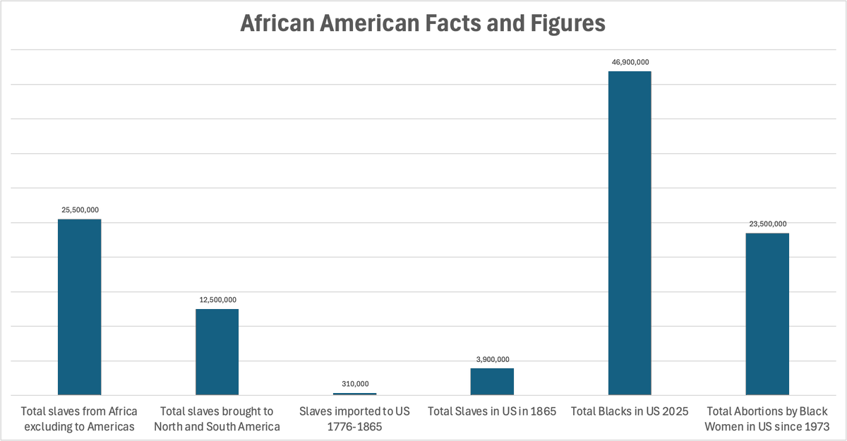Some facts about the African American population to put things into perspective.

Let me know if we should add other facts to this chart.