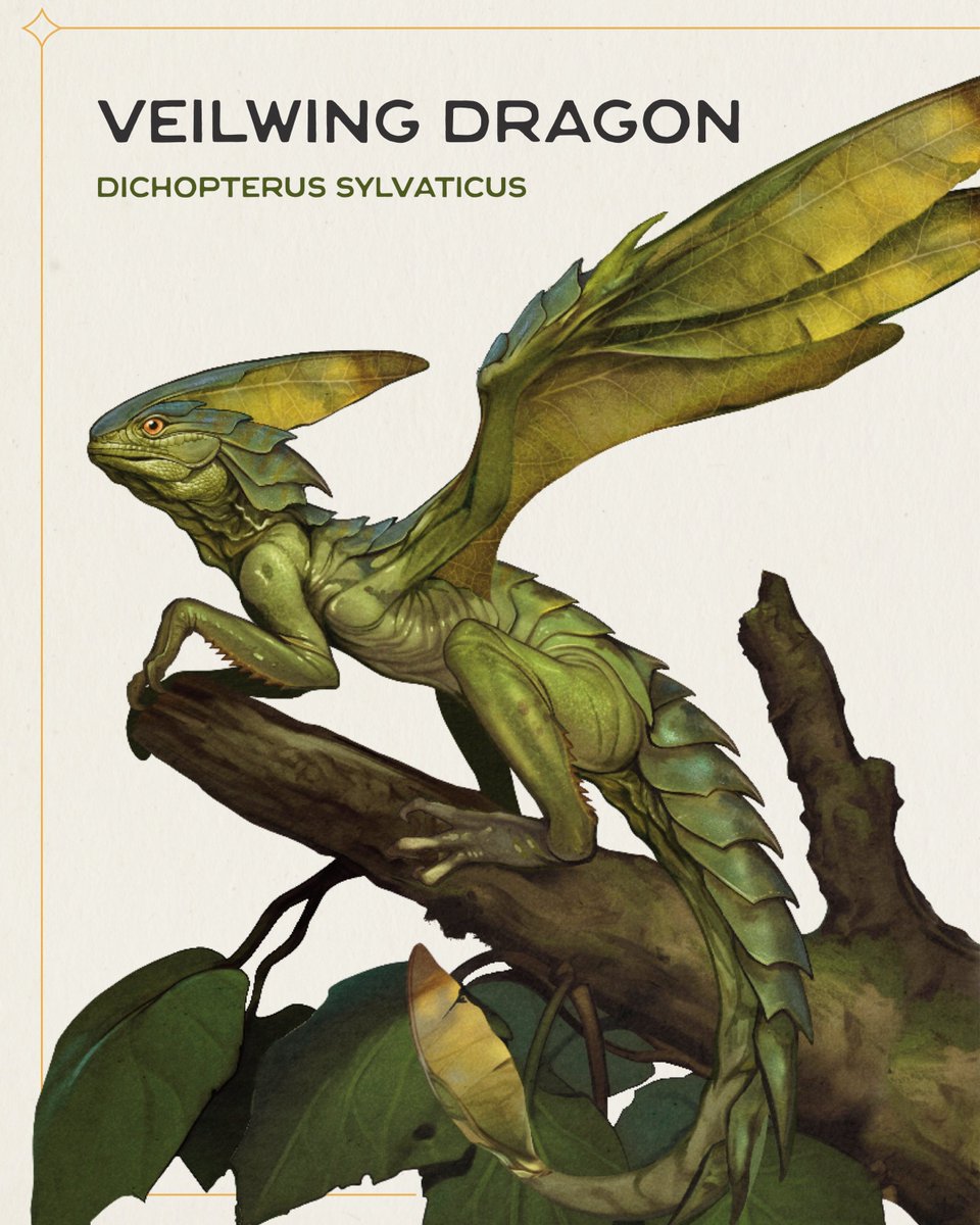 Ya'll aren't ready for how cute some of these dragons are.
It was important when making the book that they feel more like real animals than mythical monsters. Occupying ecological niches, each with their own evolutionary histories and biological limitations.
