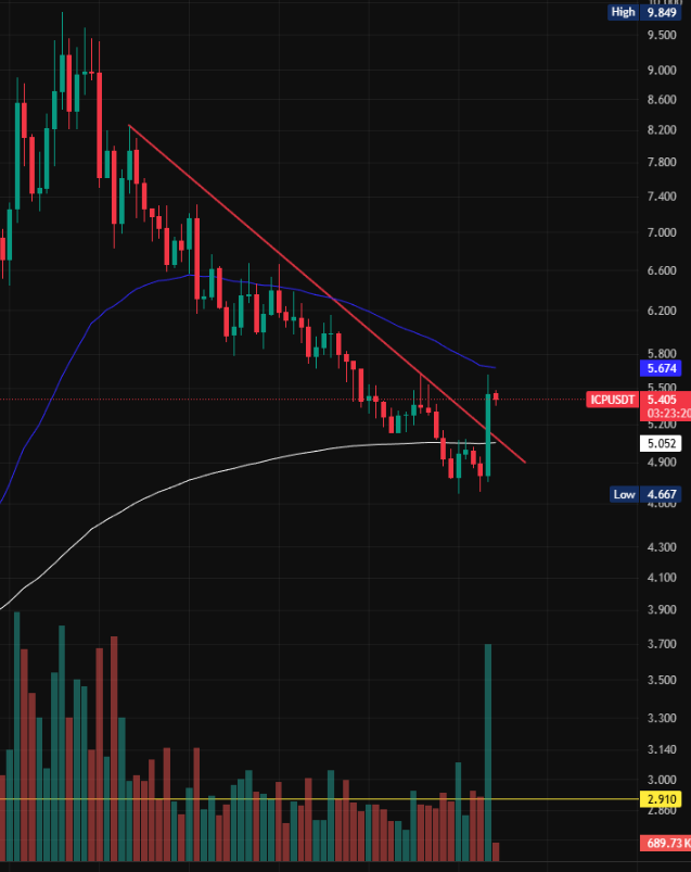 Amer_Network tweet media