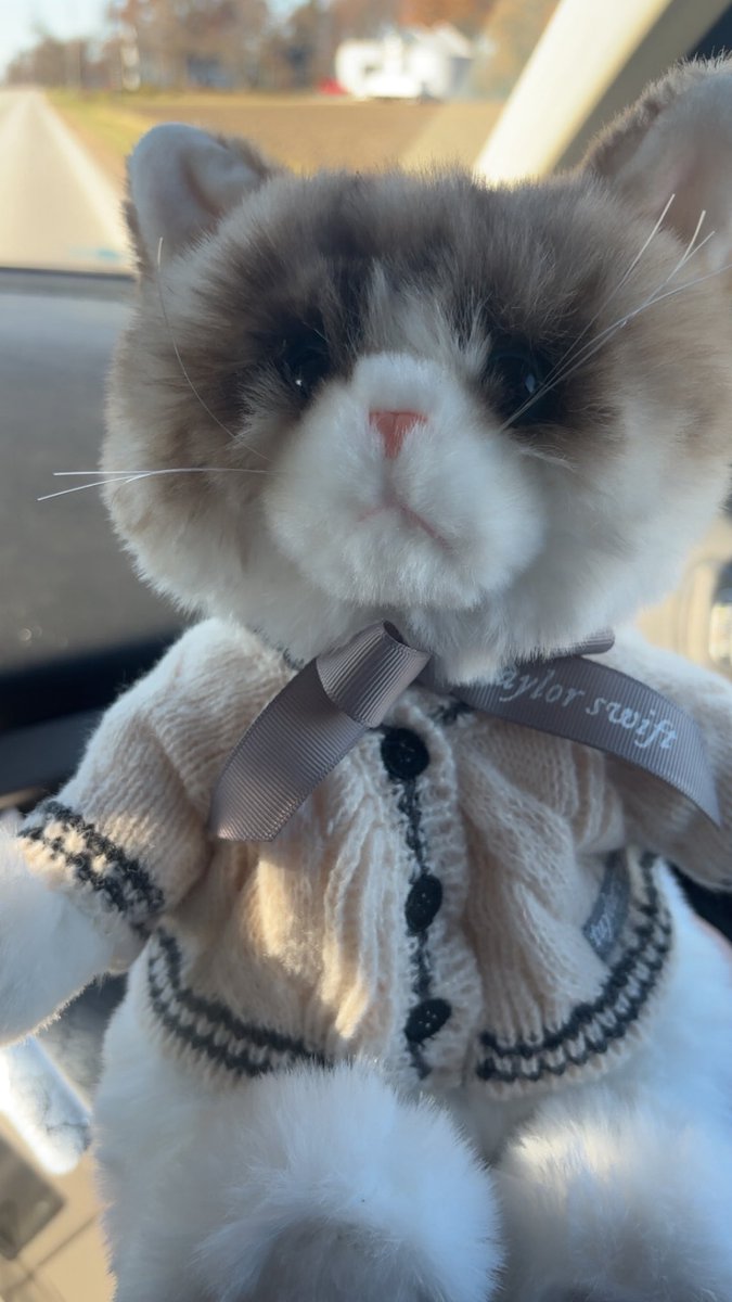 Samcheckmark's tweet image. I love him so much #taylorswift @taylornation13