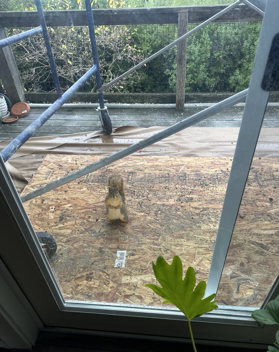 hopes_revenge's tweet image. PLEASE  LEAVE ME  ALONE !