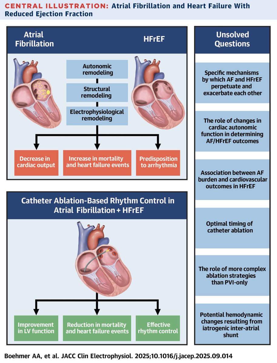 Ed_Alania's tweet image. 🔴Atrial Fibrillation &amp;amp; HFrEF: New Insights &amp;amp; Unresolved Questions @JACCJournals #Epeeps #Cardiology #CardioEd