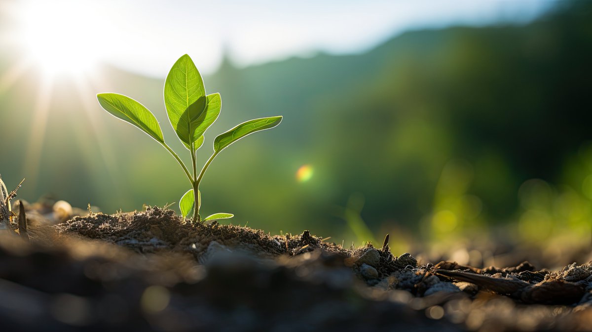 CONFETIProject tweet media