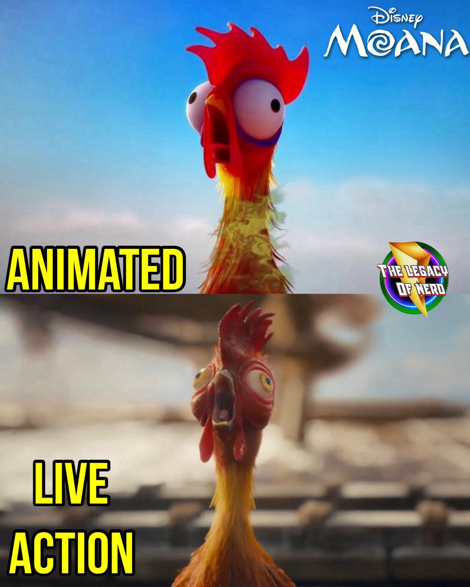 thelegacyofnerd's tweet image. Hei Hei from ‘Moana’: Animated vs Live Action