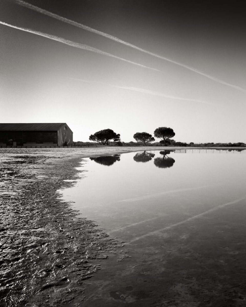 denisolivierart's tweet image. NEW! Bathing Spot, Landon, France. September 2025. Ref-12057
denisolivier.com/photography/ba…
#lanton #reflective #fp4 #reflection #paterson #ilfordfp4 #mud #house #tasfilmprocessor #bathing #trees #water #adoxxt3 #spot #heiland
