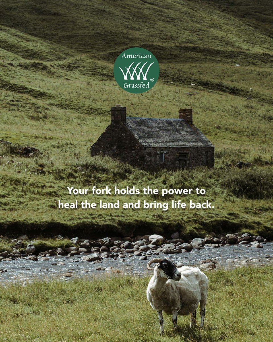 Not just beef—your fork can restore water, wildlife, and hope. #RestoreWild #WaterSaver