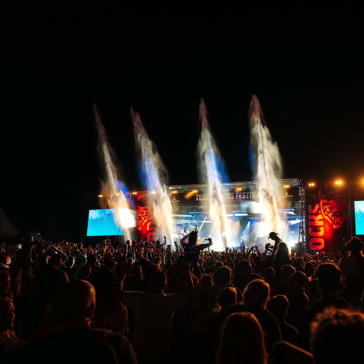 Teddy Rocks Festival tweet media