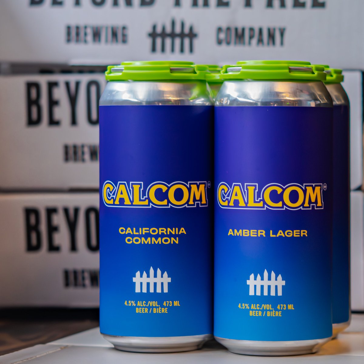 BTPBrewing's tweet image. Baby, it’s cold outside… but Calcom is bringing the heat. Amber, smooth, &amp;amp; wildly crushable at 4.5%. This California Common is basically a warm hug in beer form.

Perfect for couch hibernation, game nights, or pretending winter doesn’t scare you.

Grab a can and get cosy