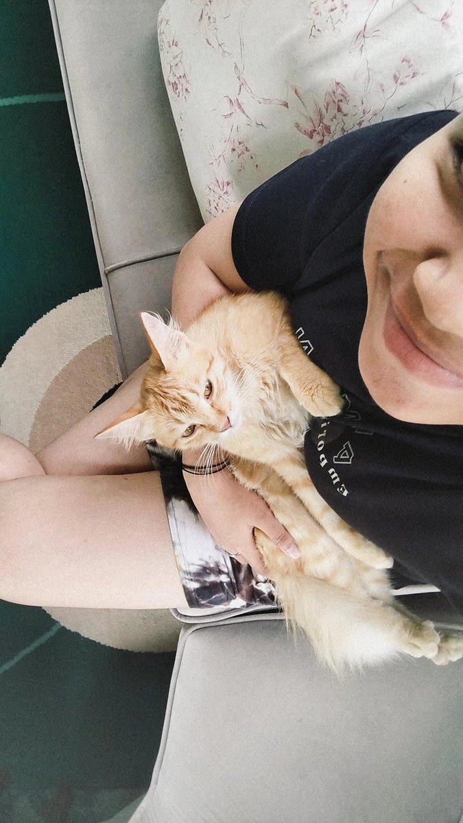 sambatansaos's tweet image. Mbul and mbut