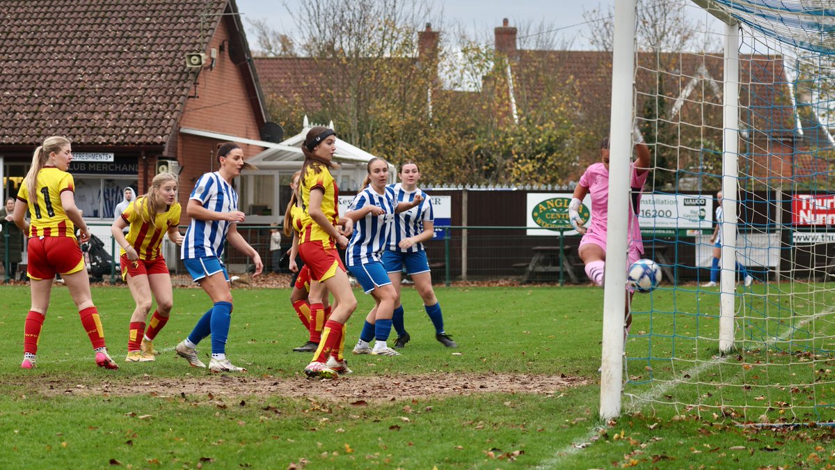 Hardy Scott Photo's tweet media