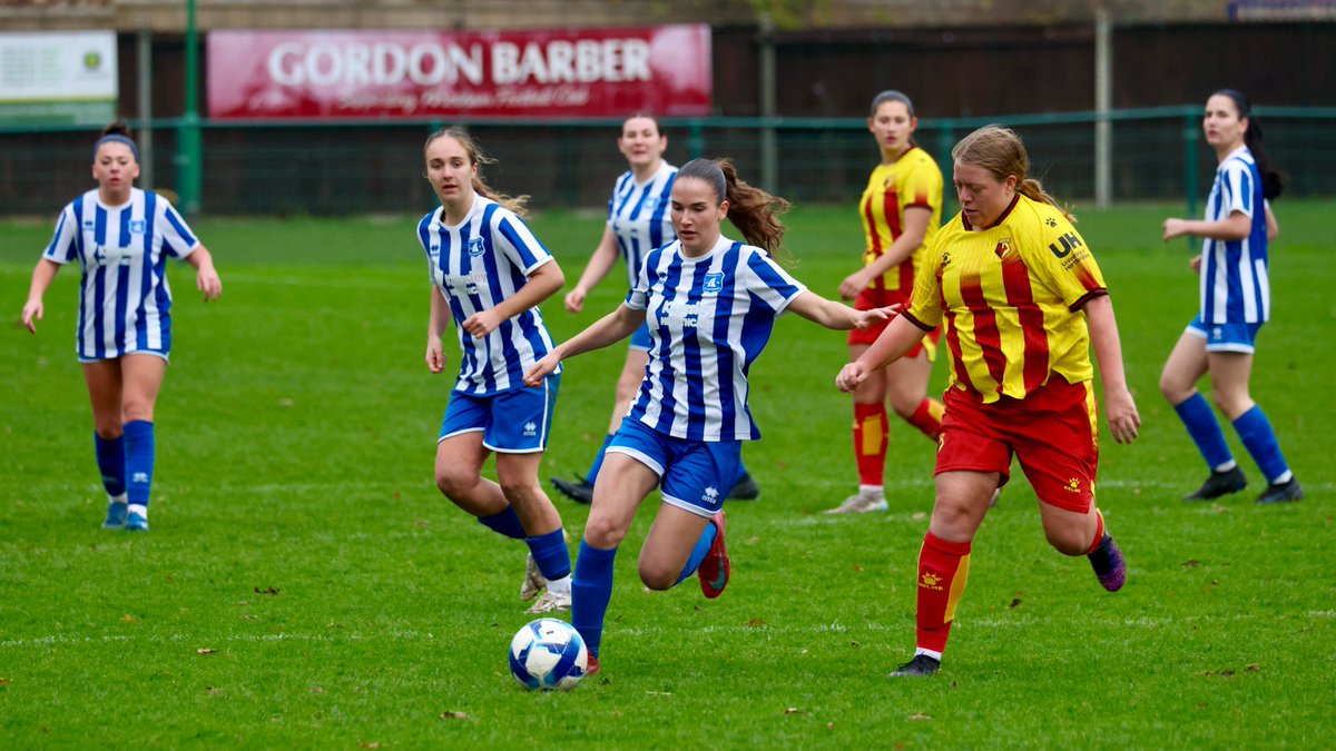 Hardy Scott Photo's tweet media