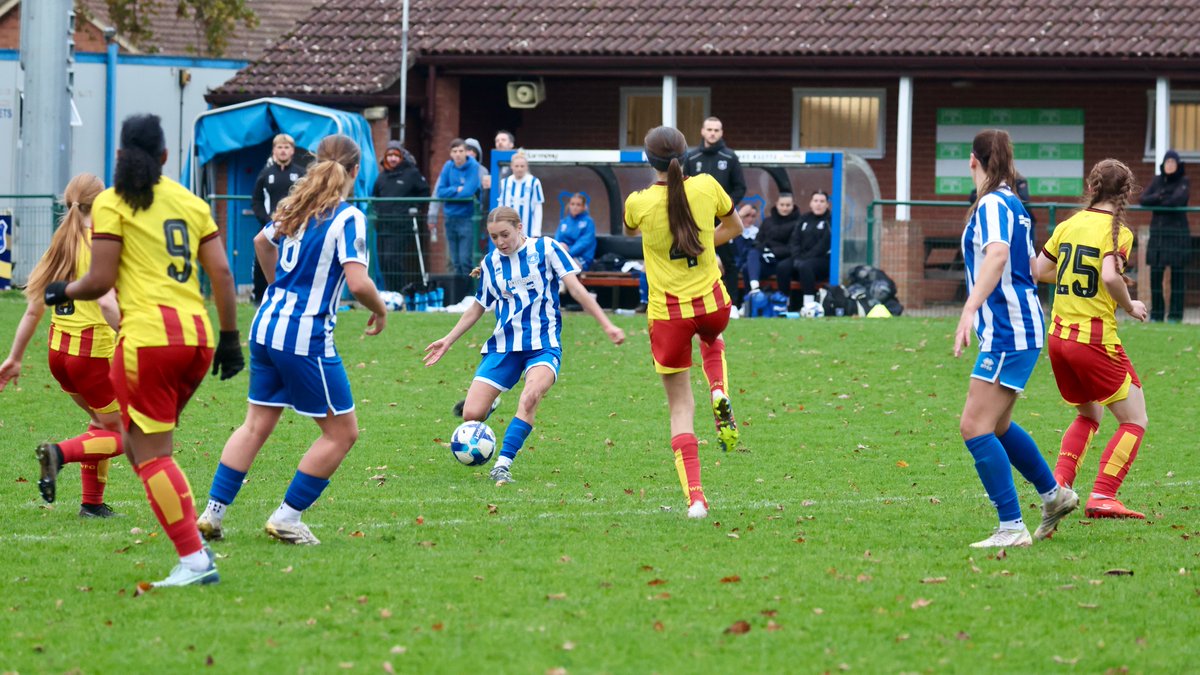 Hardy Scott Photo's tweet media