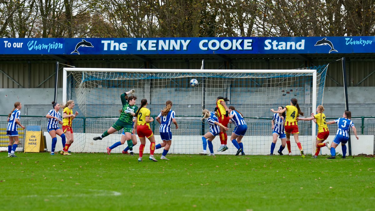 Hardy Scott Photo's tweet media