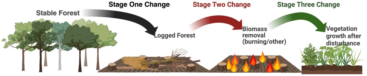 africa_science's tweet photo. New publication!
On the sensitivity of SAR C- and L-band to detect early deforestation
https://t.co/0XCM37Ox7Y
Thank you all co-authors! https://t.co/QfjZO3M5YT