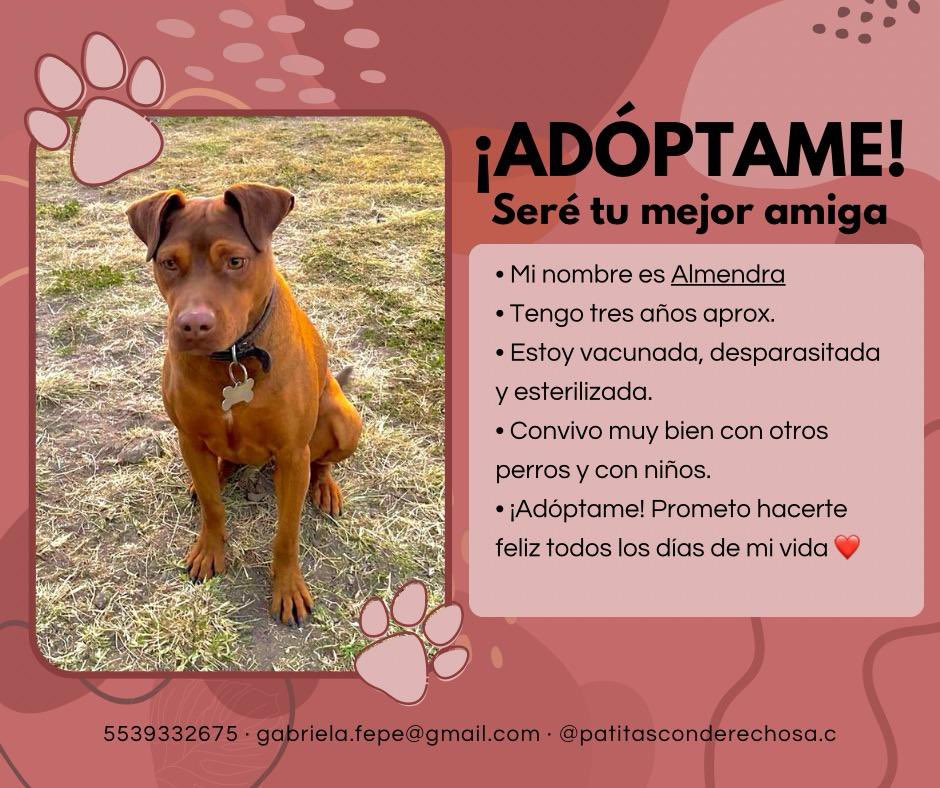 favordenojoder's tweet image. Amor incondicional 100% garantizado.
Hoy tienen la oportunidad de mejorar su vida y la de alguien más =)