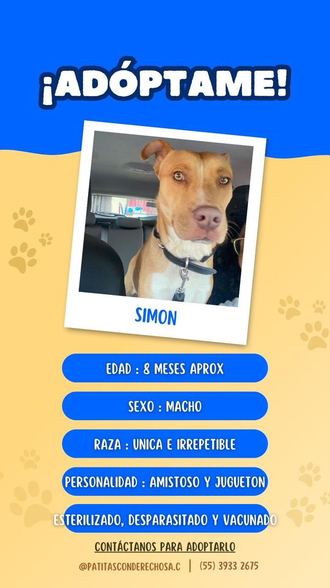 favordenojoder's tweet image. Amor incondicional 100% garantizado.
Hoy tienen la oportunidad de mejorar su vida y la de alguien más =)