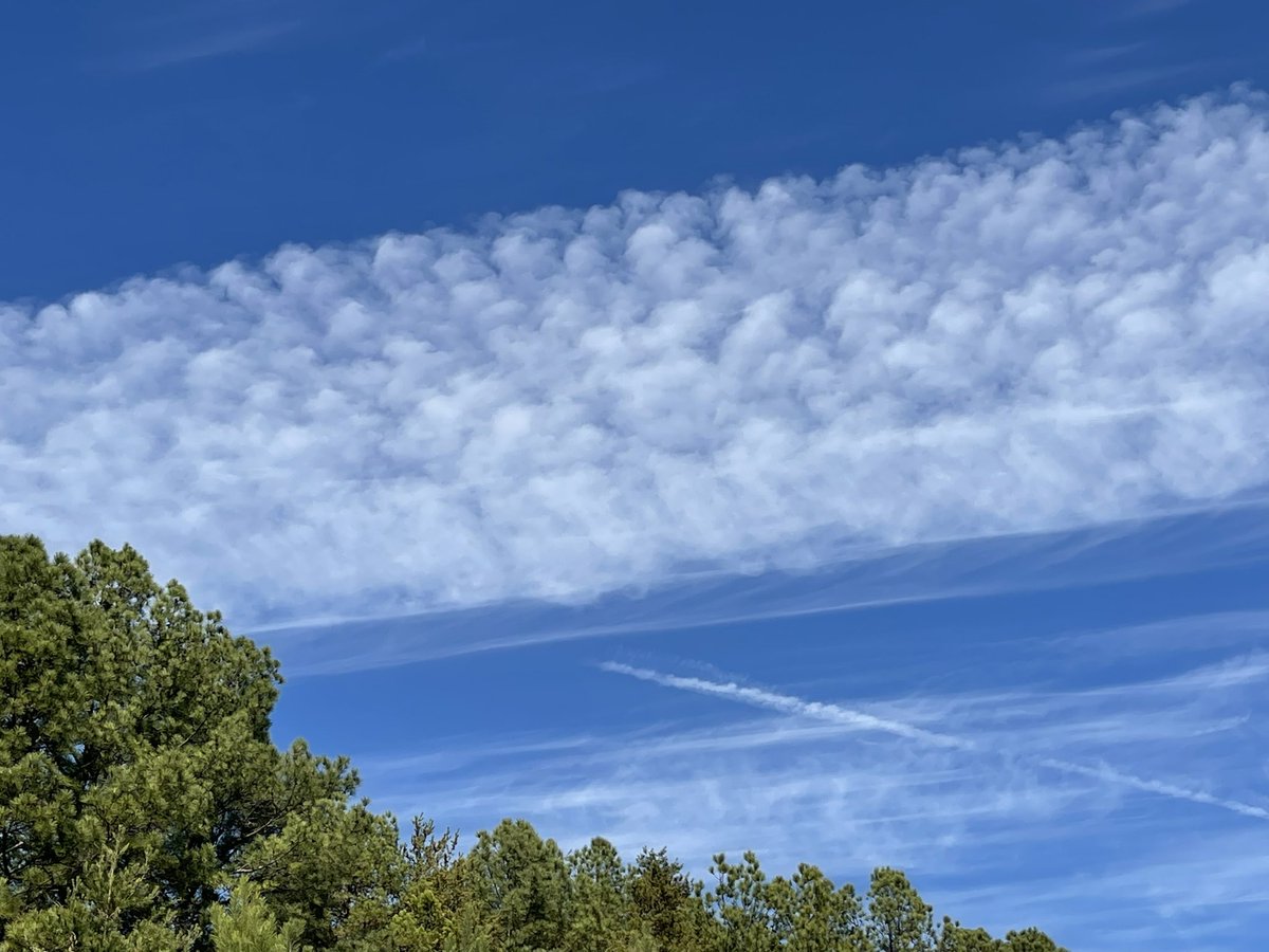 FAMOUSSHAMUSUSA's tweet image. Today over Alabama 🇺🇸 
#EndGeoengineering, #LookUp, #StopGeoengineering, #War, #WeDoNotConsent, #Poison