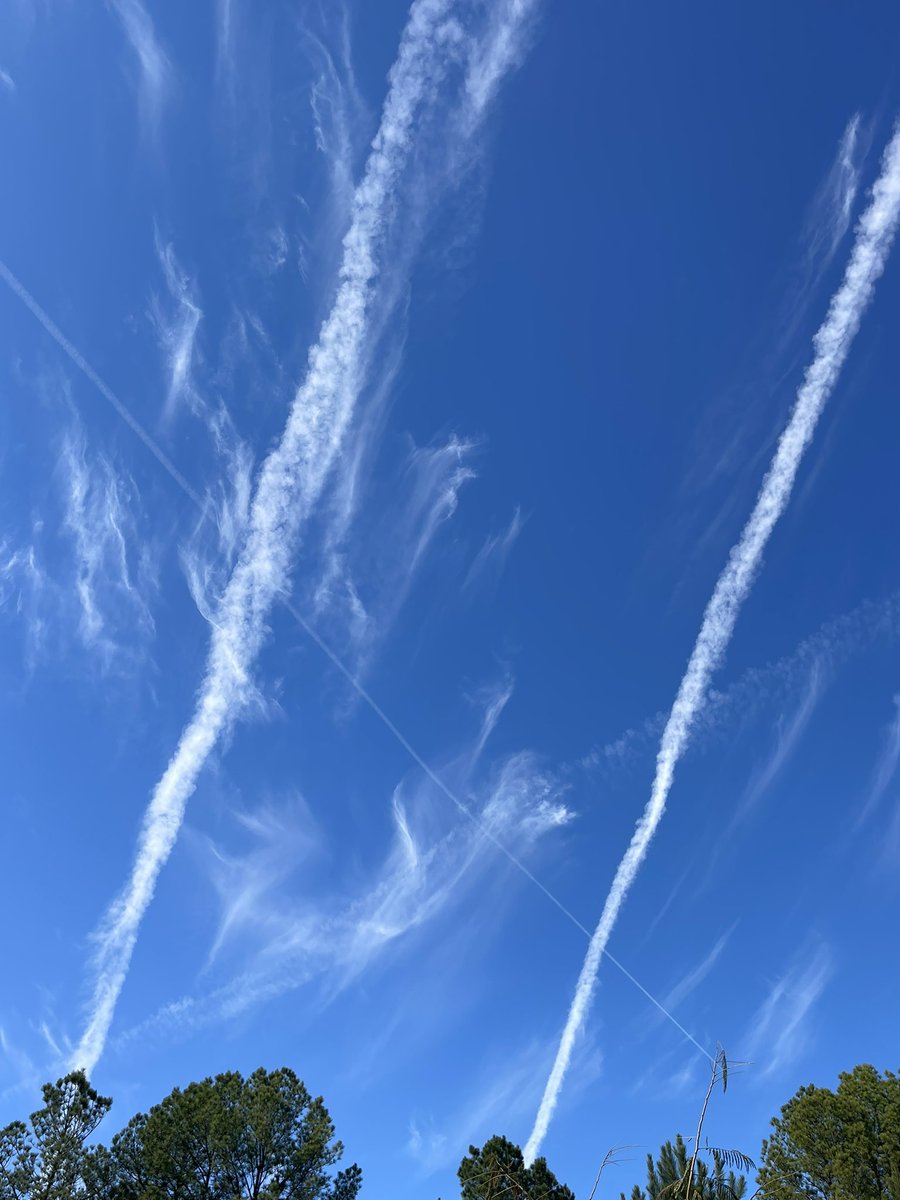 FAMOUSSHAMUSUSA's tweet image. Today over Alabama 🇺🇸 
#EndGeoengineering, #LookUp, #StopGeoengineering, #War, #WeDoNotConsent, #Poison