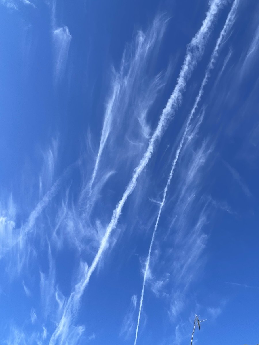 FAMOUSSHAMUSUSA's tweet image. Today over Alabama 🇺🇸 
#EndGeoengineering, #LookUp, #StopGeoengineering, #War, #WeDoNotConsent, #Poison