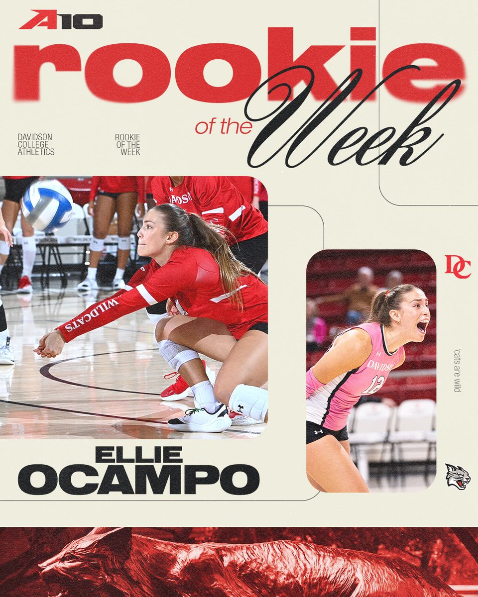 Davidson Volleyball tweet media