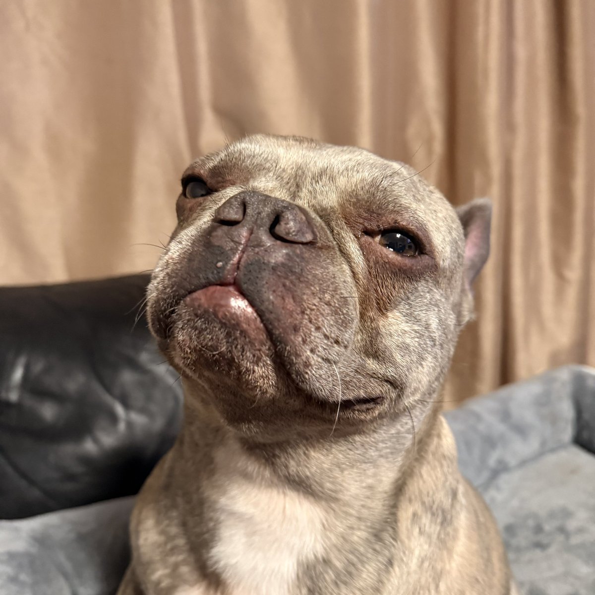 absolutelyamyyy's tweet photo. #NotAModel (but most definitely wants to be) https://t.co/MdwQA211Xa