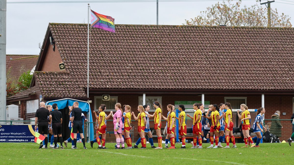 Hardy Scott Photo's tweet media