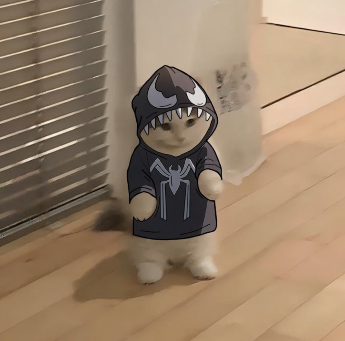 Djc1164's tweet image. Seeing plenty of new faces bullposting $michi 

Seems insane value here to many smart investors