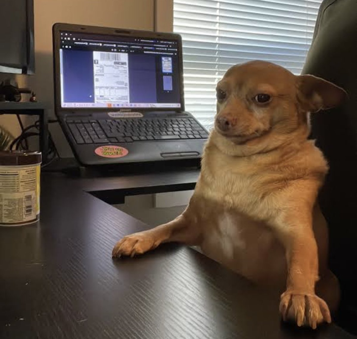 CodeEdison's tweet image. Fixing one bug and unlocking three new bugs like a skill tree 😭💔