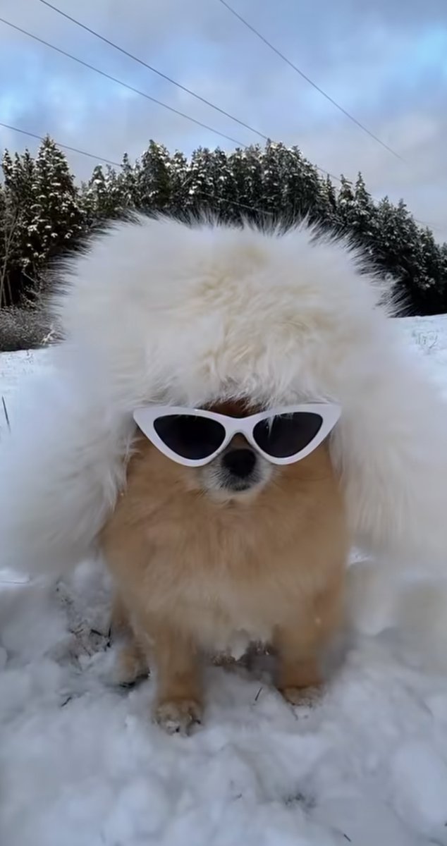 Everyone is losing it…
I am looking like I’m about to drop a Christmas album.😎