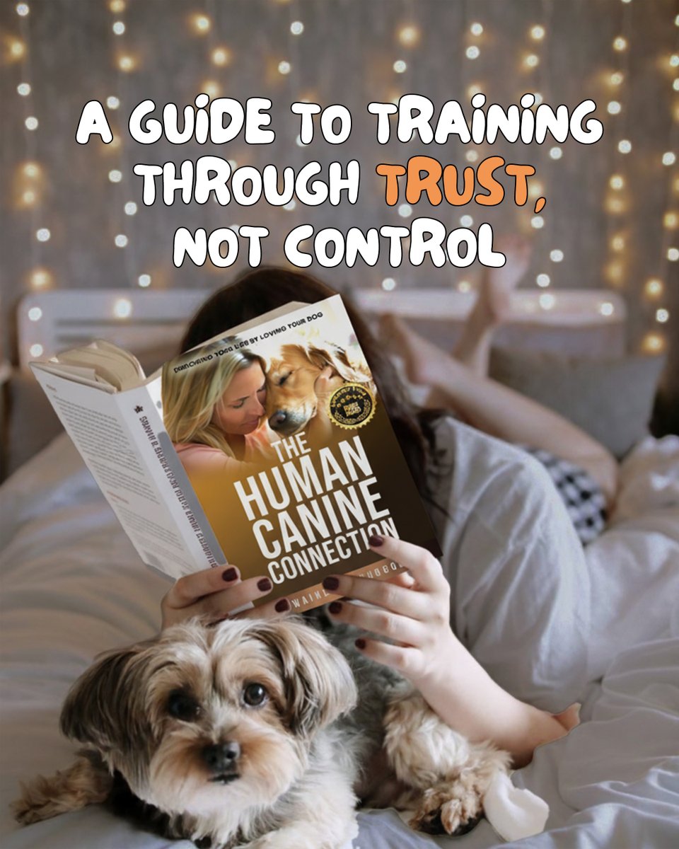 AuthorDwai11639's tweet photo. True connection with your dog starts when you stop leading from command and start leading from understanding. Trust always teaches better than force.
Build that connection through The Human Canine Connection.
https://t.co/ZkZUZ0WI08
#bookwormproblems #writerslift https://t.co/PYxIiYD2DC