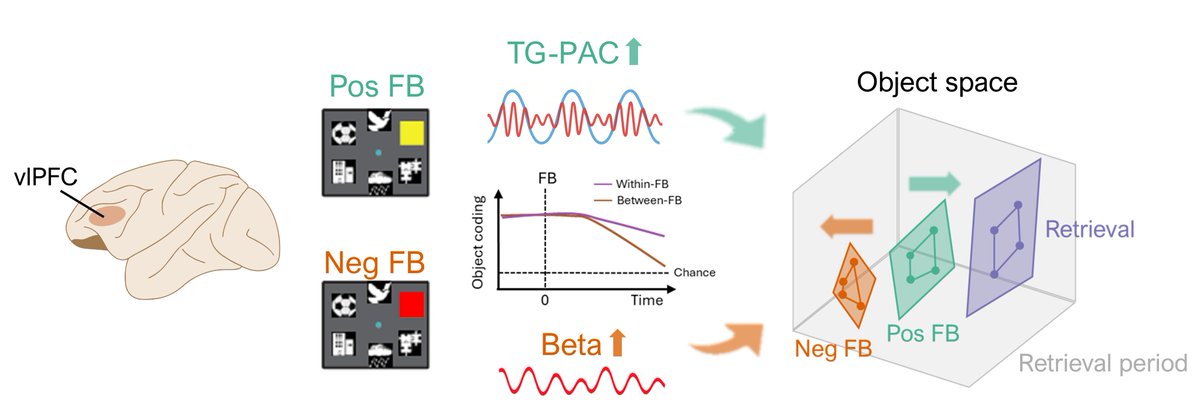 Runhao Lu | 陆润豪 tweet media