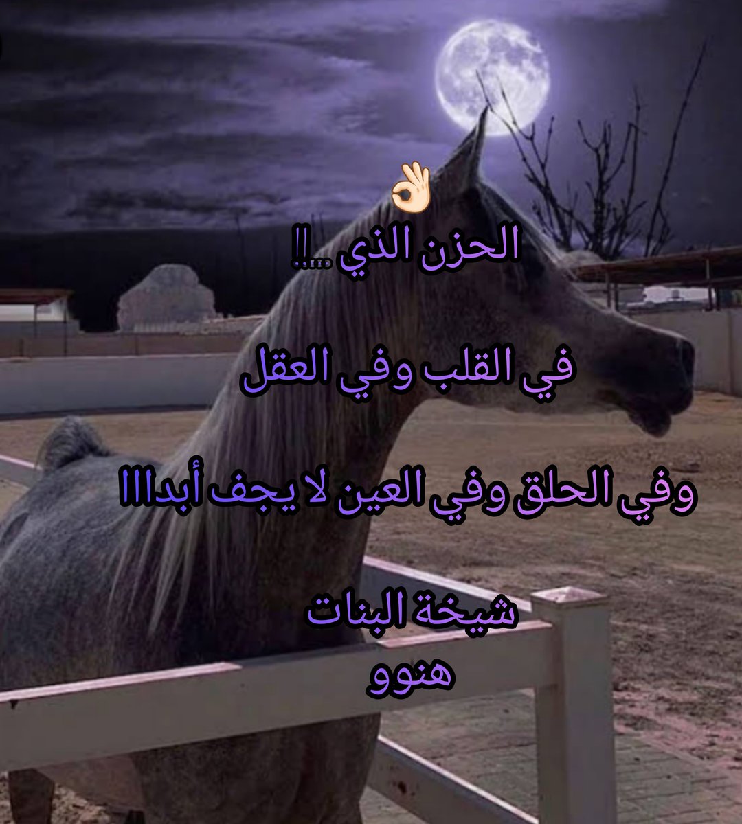 👌🏻
دائما تقبلوا فكرة إن الشخص يمر بحالة مزاجية غريبة حتى هو مايدري وش فيه

 يضيق صدره يصمت يبتعد أو يتصرف على غير عادته

ليس ضعف أو تجاهل لكن أحيانا النفس تتعب بدون سبب واضح وتحتاج مساحة مو أسئلة 

بدال تقول له  وش فيك جرب تقول أنا معك إذا احتجتني 😍❤💤

❤💤💤🖤